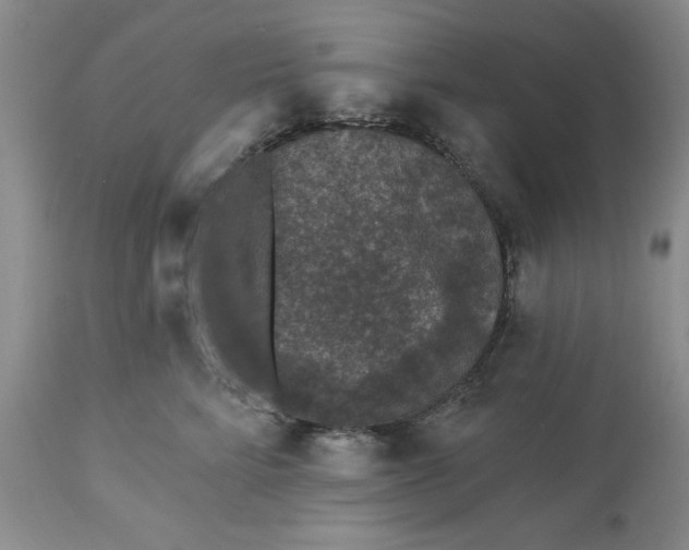 X0000113610712200910021804