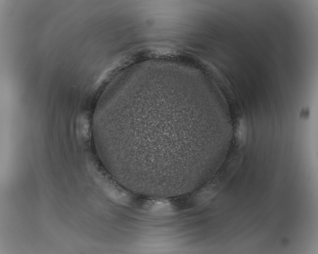 X0000113610715200910021804