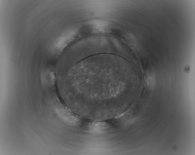 X0000113610716200910021804