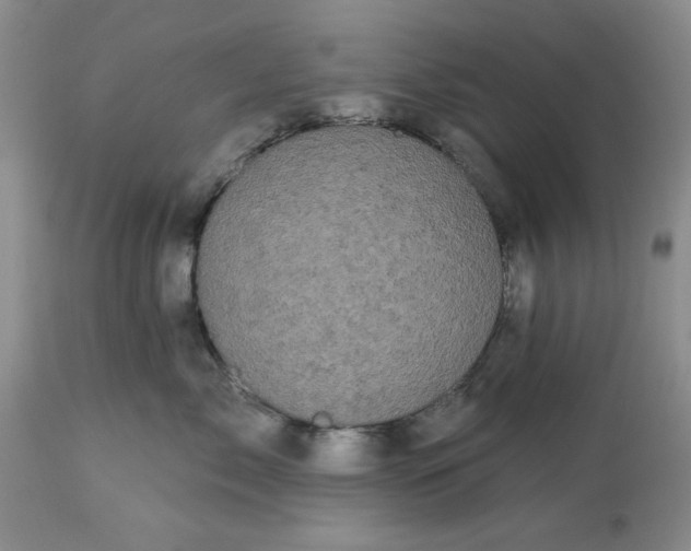 X0000113610717200910021804