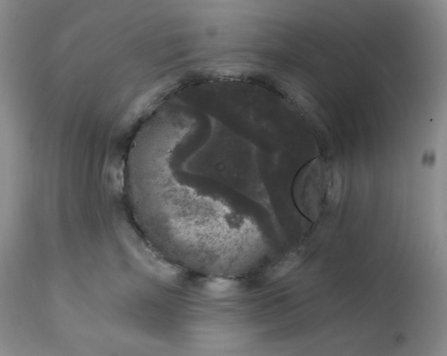 X0000113610718200910021804