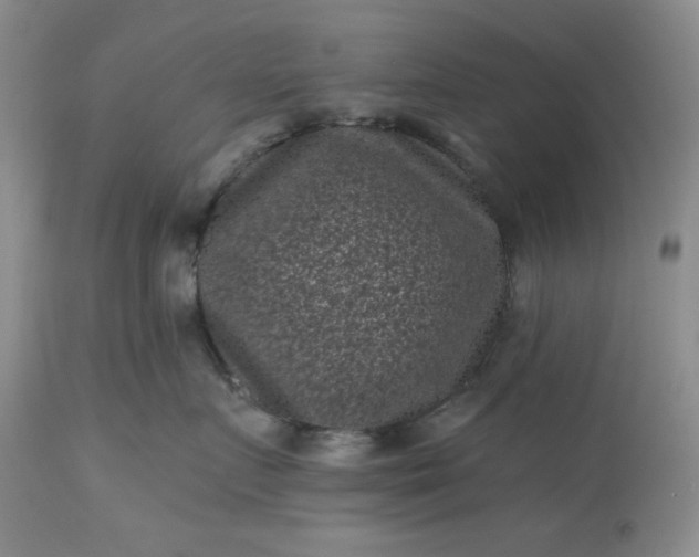 X0000113610719200910021804