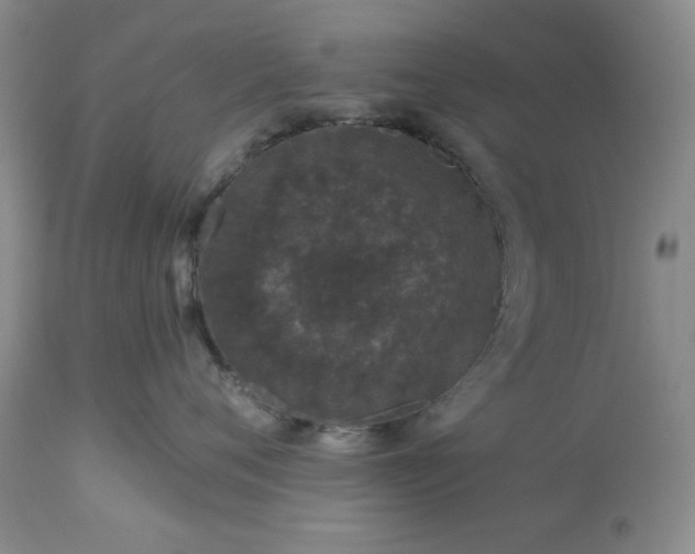 X0000113610720200910021804