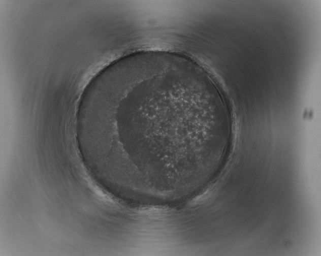 X0000113610721200910021803