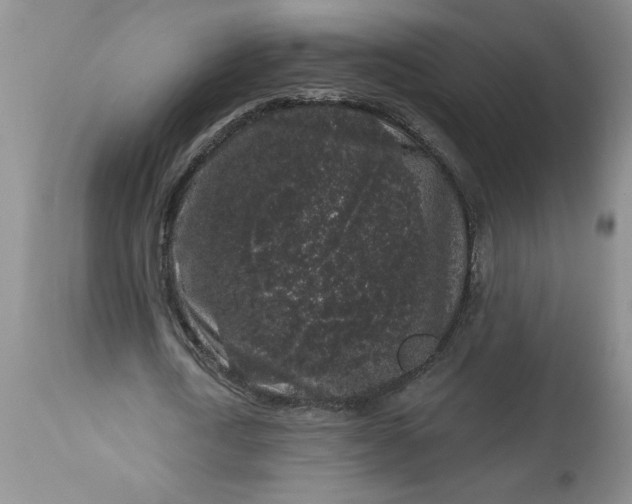 X0000113610722200910021803