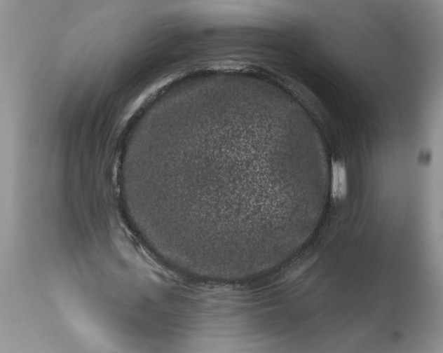 X0000113610723200910021803