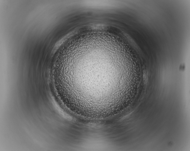 X0000113610725200910021803