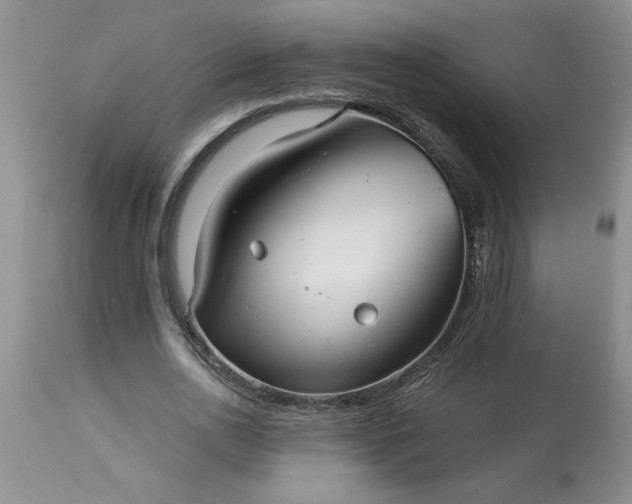 X0000113610726200910021803