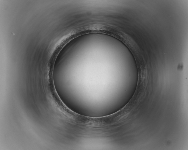 X0000113610727200910021803