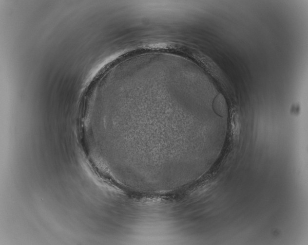 X0000113610728200910021803