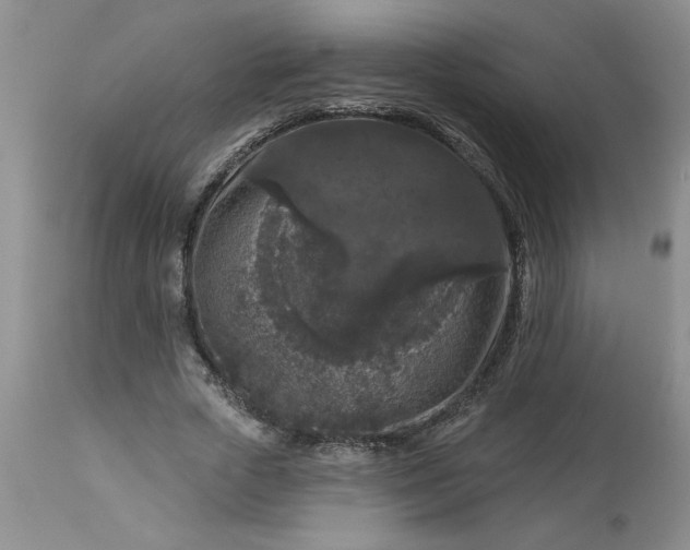 X0000113610729200910021804