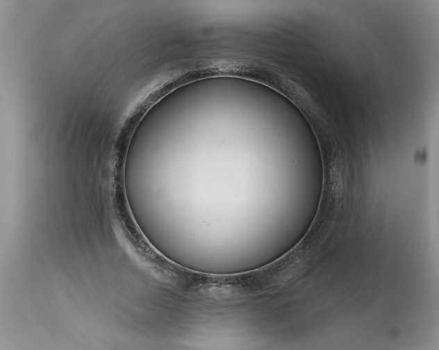 X0000113610730200910021804