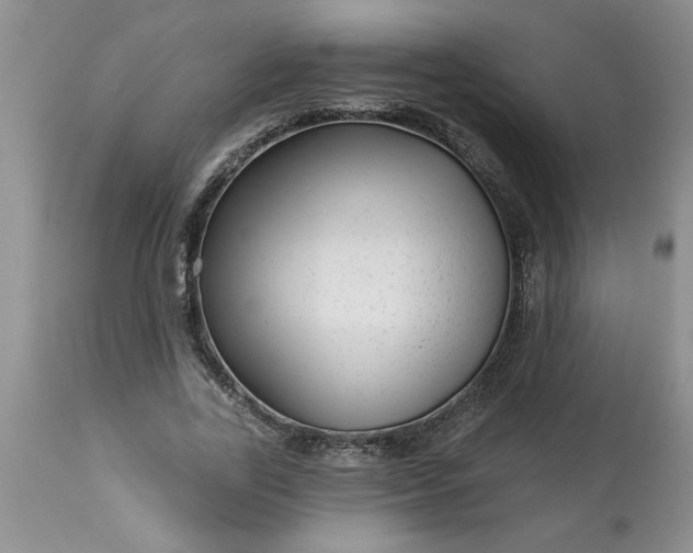 X0000113610731200910021804