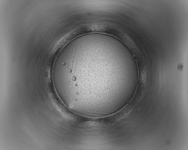 X0000113610733200910021804