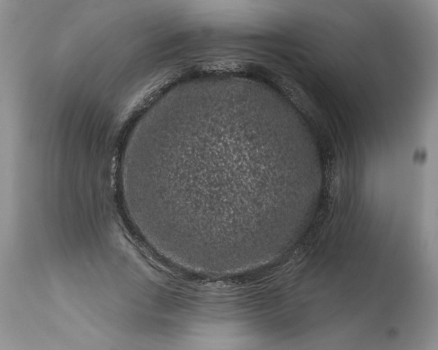 X0000113610735200910021804