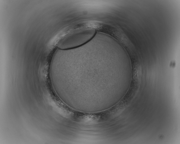 X0000113610736200910021804