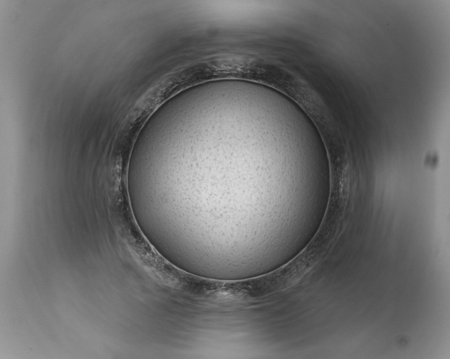 X0000113610737200910021804