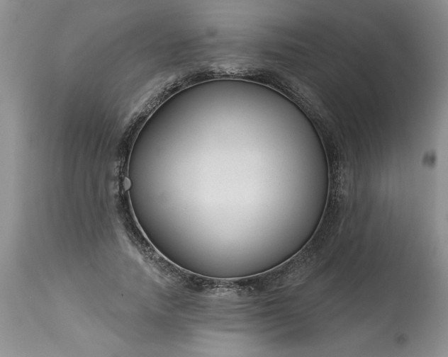 X0000113610738200910021804