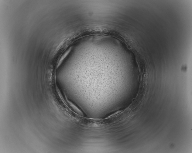 X0000113610739200910021804