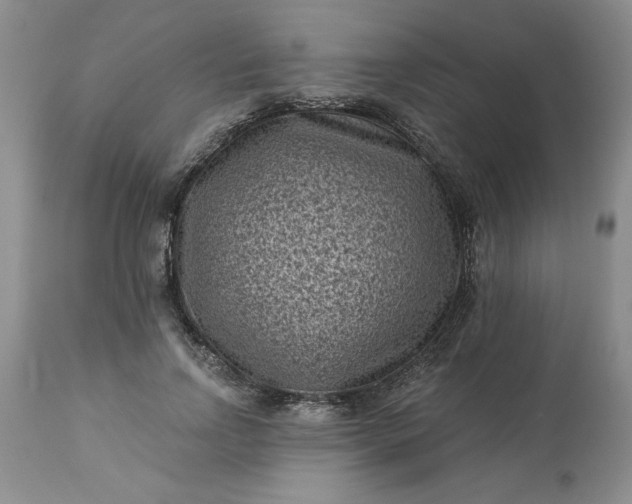 X0000113610742200910021804