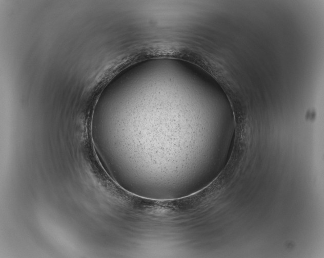 X0000113610743200910021804