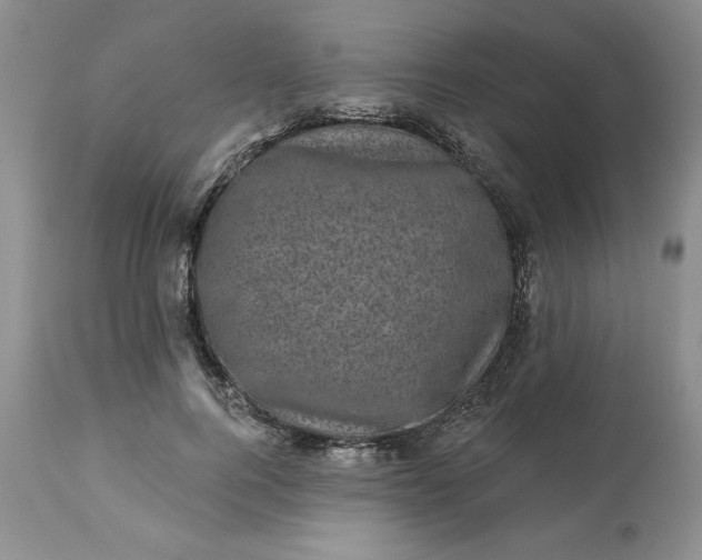 X0000113610744200910021804