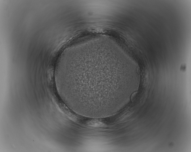 X0000113610747200910021804