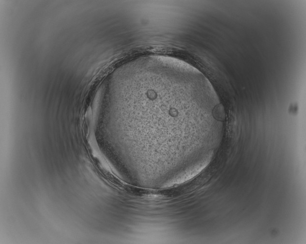 X0000113610748200910021804