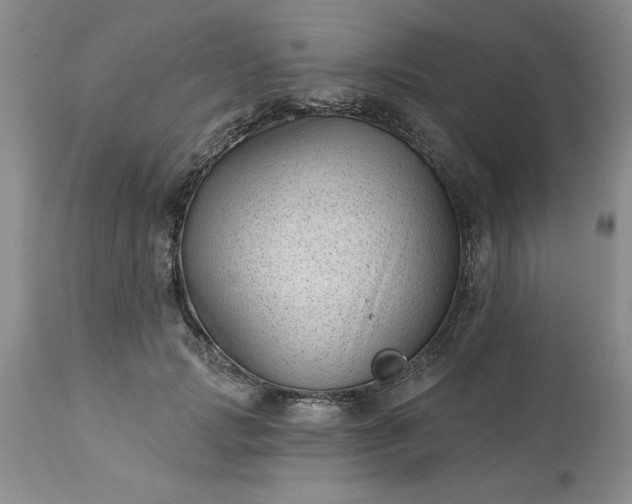 X0000113610749200910021804