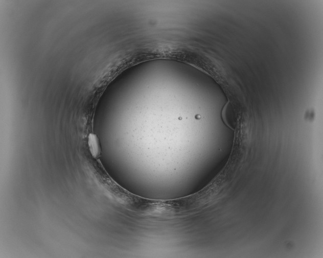 X0000113610750200910021804