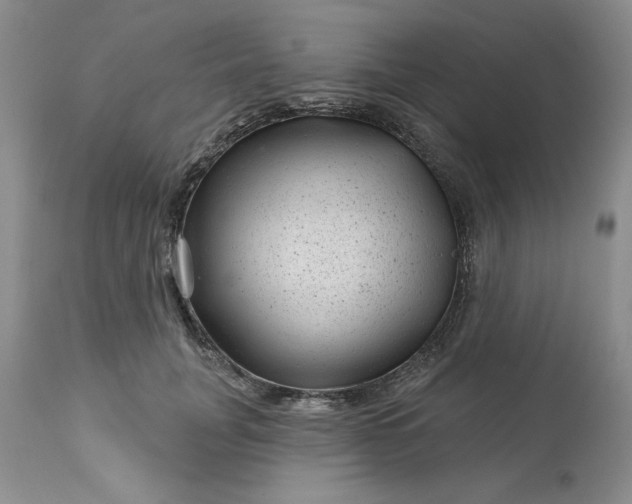 X0000113610751200910021804