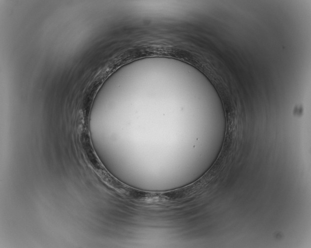 X0000113610752200910021804