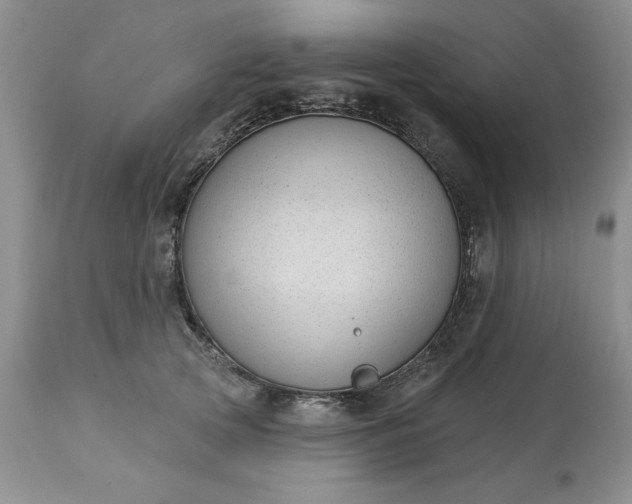 X0000113610753200910021804