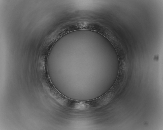 X0000113610754200910021804