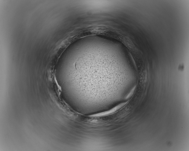 X0000113610755200910021804