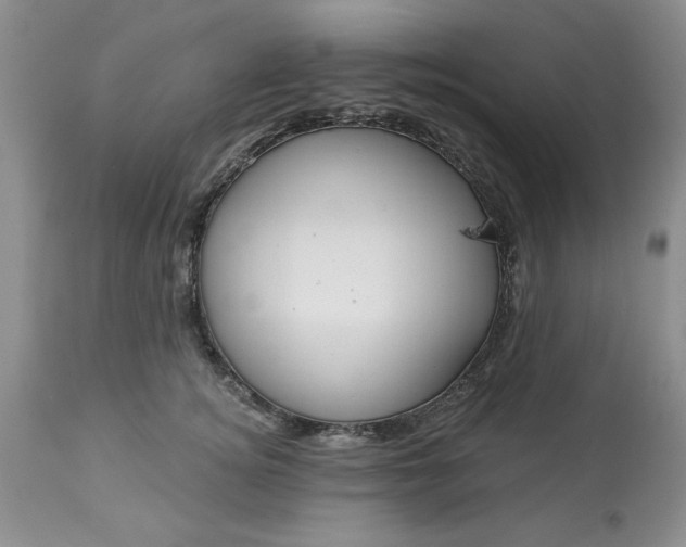 X0000113610756200910021804