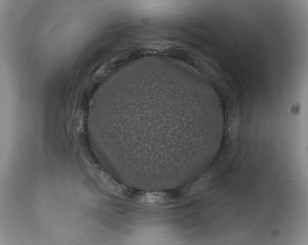 X0000113610758200910021804