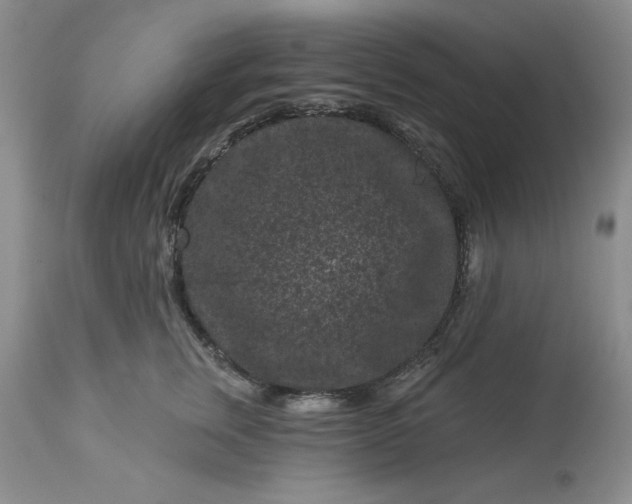 X0000113610759200910021804