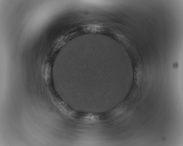 X0000113610760200910021804