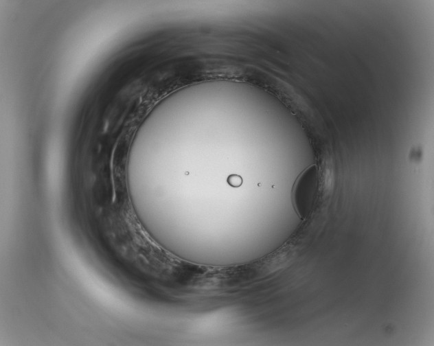 X0000113610764200910021804