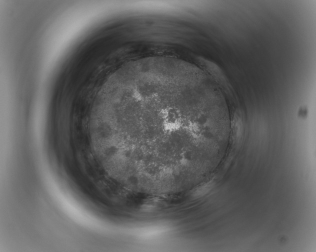 X0000113610765200910021804