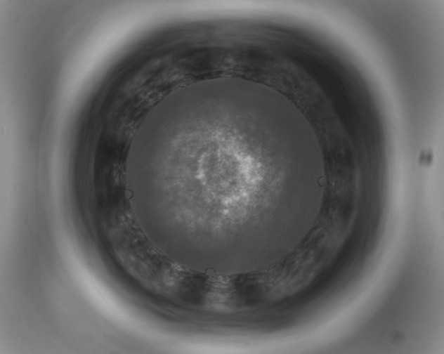 X0000113610766200910021804