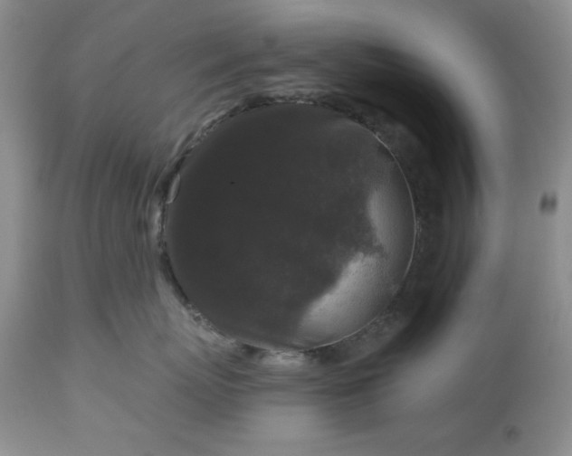 X0000113610767200910021804