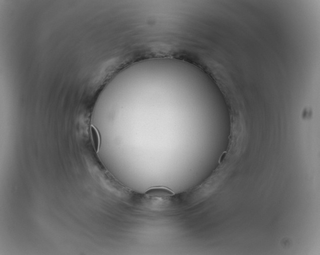 X0000113610768200910021804