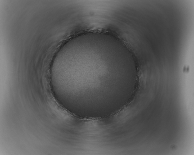 X0000113610769200910021803