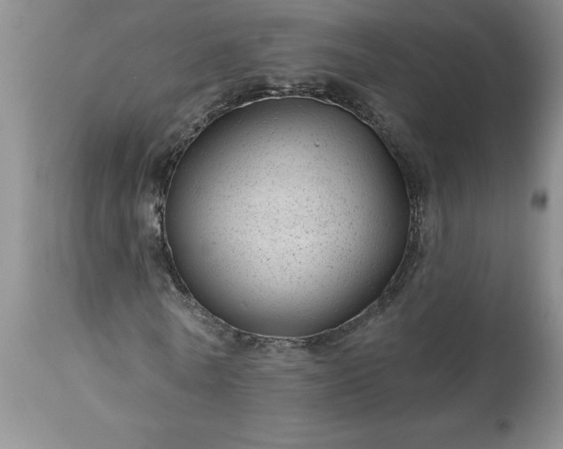 X0000113610770200910021803