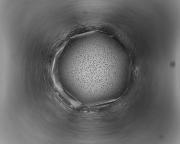 X0000113610772200910021803