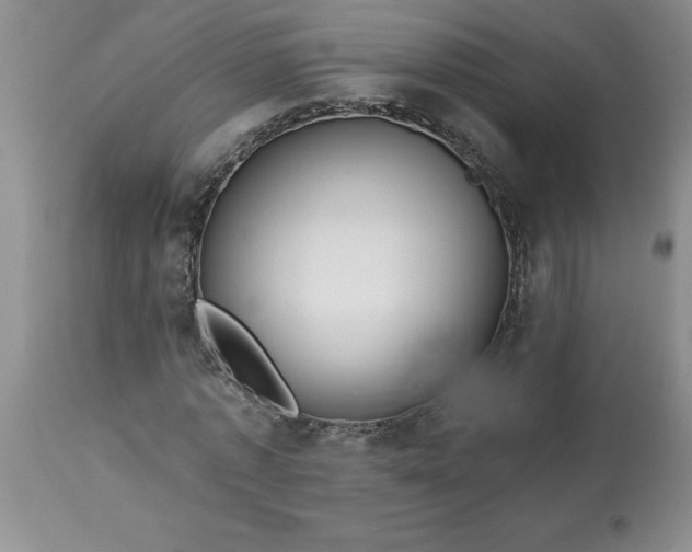 X0000113610773200910021803