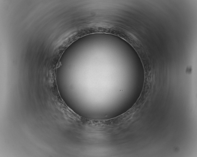 X0000113610774200910021803