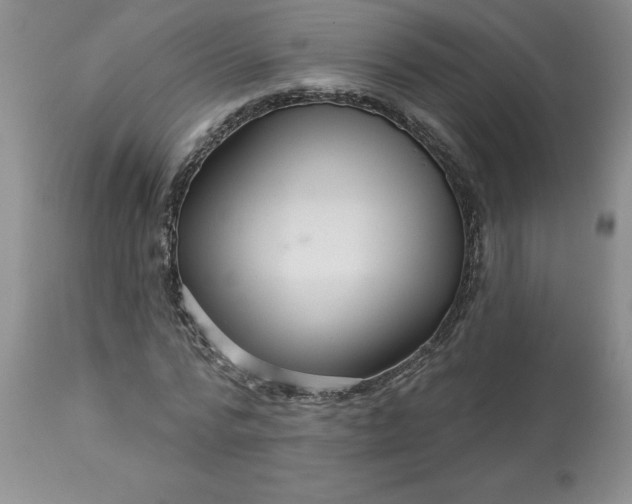 X0000113610776200910021803